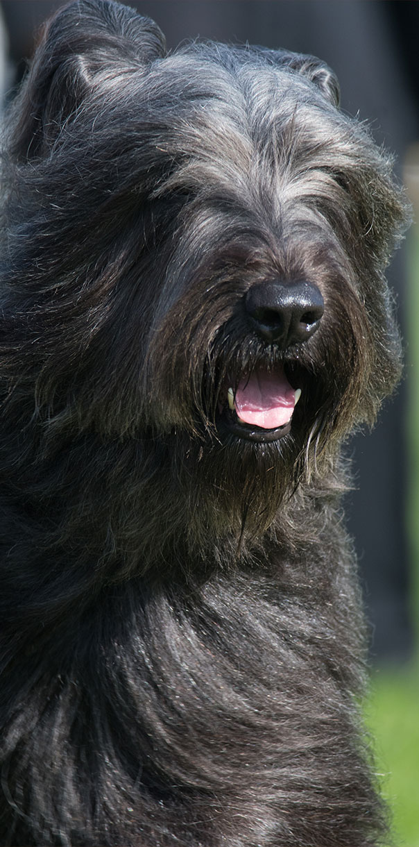 1c%20main%20image%201%201%201