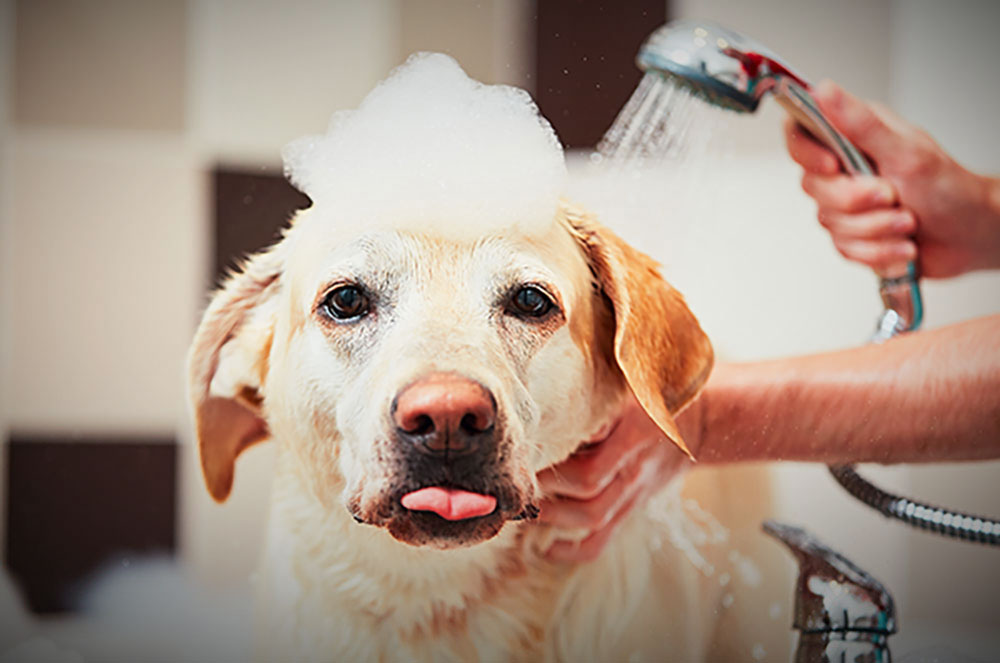 i services-bathanddry