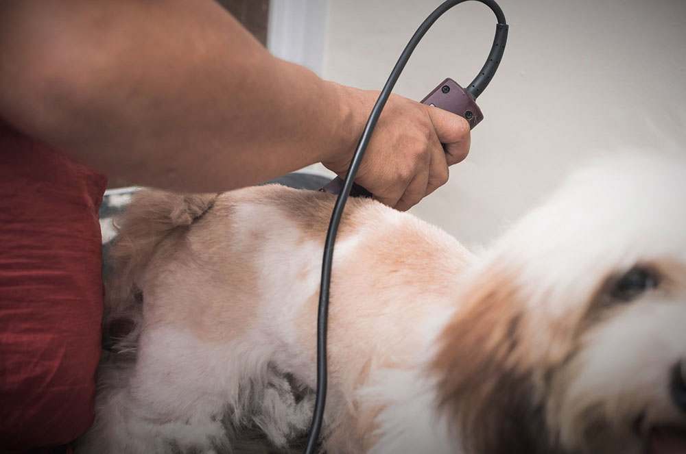 i services-bathanddry