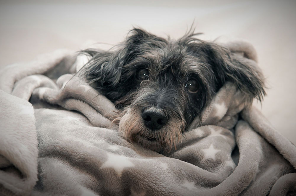 i services-bathanddry